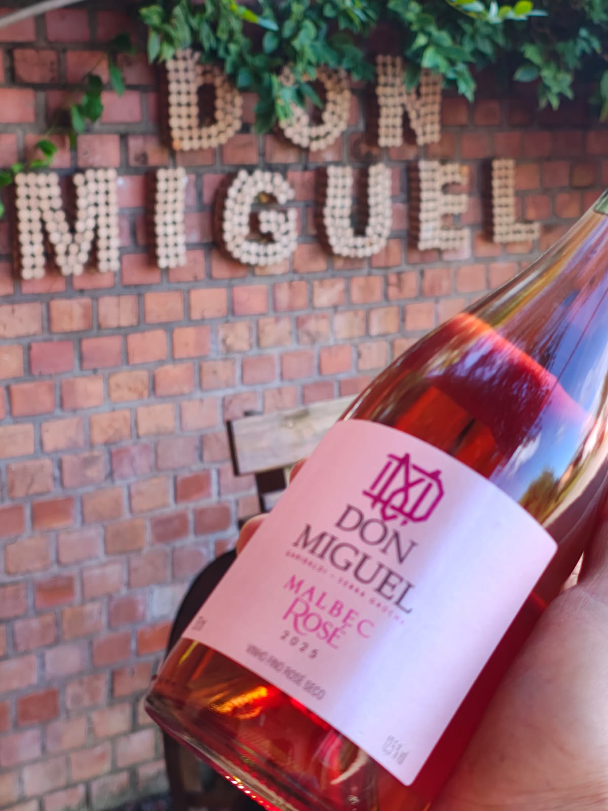 Foto da Vinícola Don Miguel
