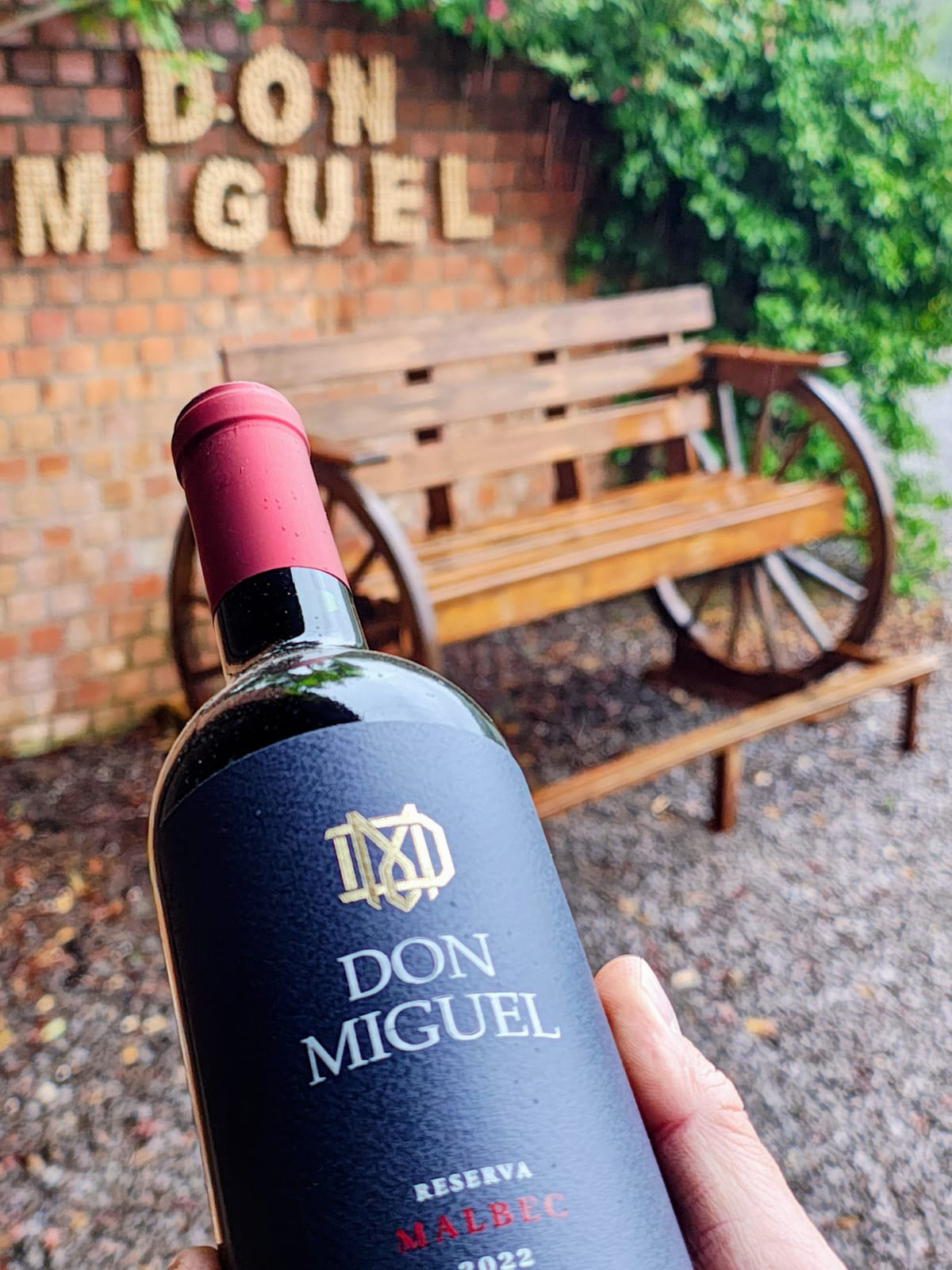 Fotos da Vinícola Don Miguel